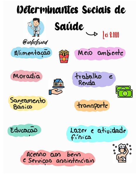 Determinantes E Condicionantes Da Saúde Braincp