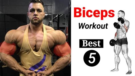 How To Grow Biceps Fast At Home With Dumbbells Exercises Fitness