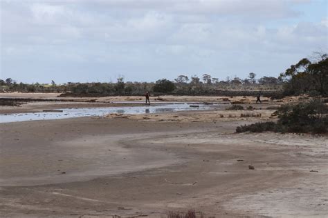 Field Trip To Tarin Rock Western Australian Naturalists Club