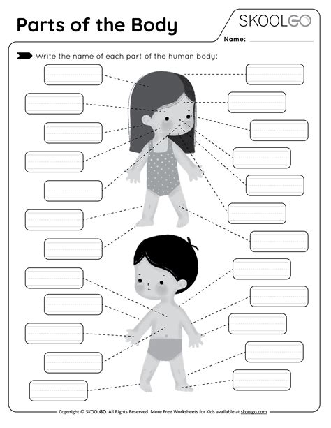 Parts Of The Body Free Worksheet Skoolgo