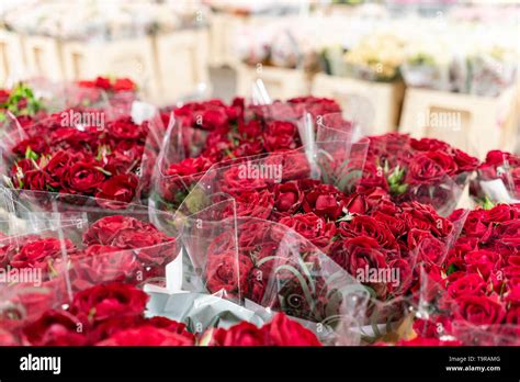 Warehouse Refrigerator Wholesale Flowers For Flower Shops Red Roses