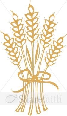 bundle of wheat clipart 19 free Cliparts | Download images on Clipground 2025