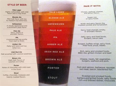 Beer Pairing Guide Myconfinedspace