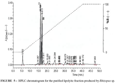 Scielo Brasil Purification And Biochemical Characterization Of An Extracellular Lipase