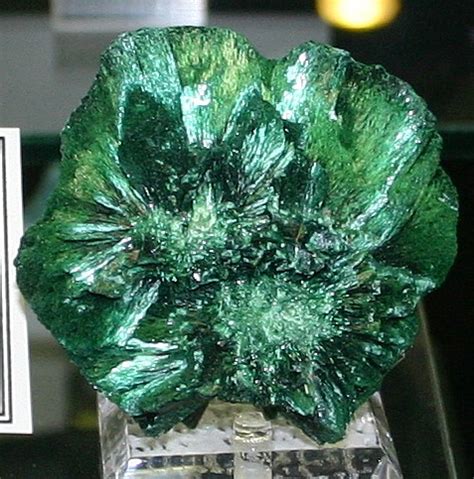 Malachite Mineral Information photos and Facts, Malachite specimens and ...