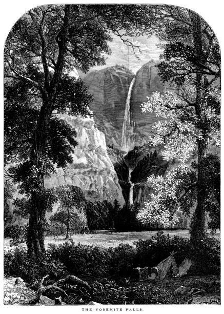 Best Yosemite National Park Illustrations Royalty Free Vector Graphics