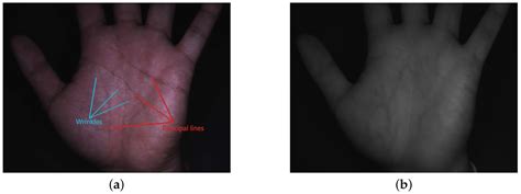 Symmetry Free Full Text Palmprint And Palmvein Recognition Based On