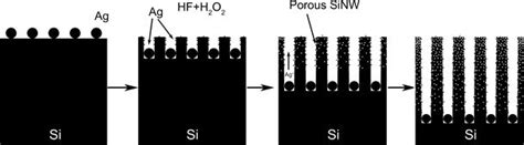 Schematic View Of The Formation Mechanism Of Porous Sinw Arrays