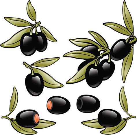Royalty Free Black Olive Clip Art, Vector Images & Illustrations - iStock