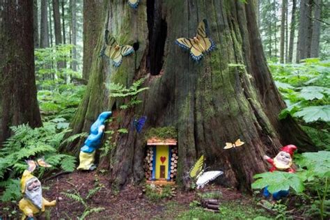 The Enchanted Forest Bc Canada Gnomes Kids Time Fun Places To Visit