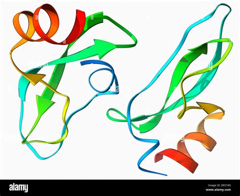 Amyloid precursor protein molecule Stock Photo: 65203053 - Alamy