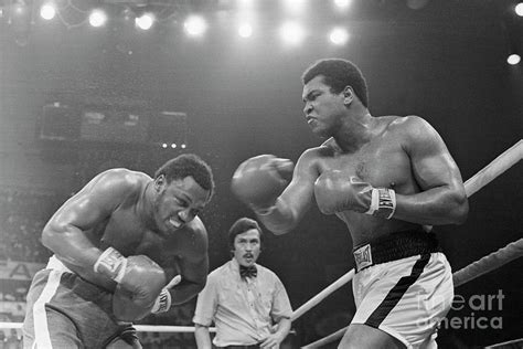 Muhammad Ali Punching Joe Frazier Photograph By Bettmann Pixels