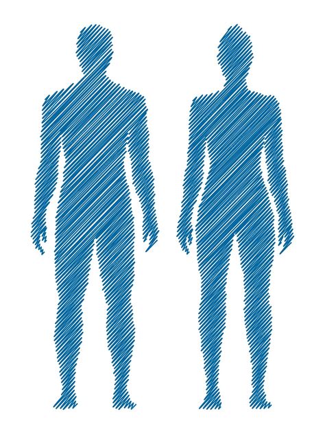 Premium Vector Male And Female Body Vector Sketch Drawing Isolated On White Background