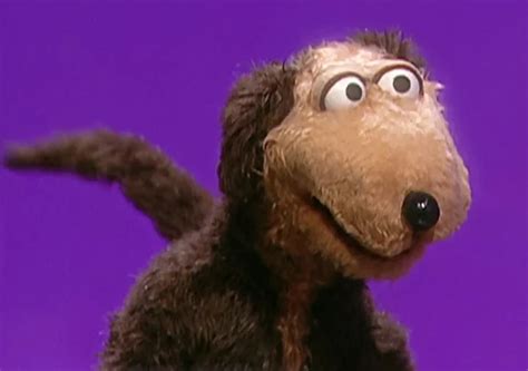 dawg  dog muppet wiki fandom powered  wikia