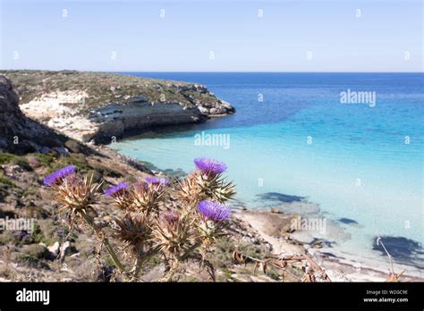 Isola Di Lampedusa Sicilia Spiaggia Del Coniglio E Isola Dei Conigli