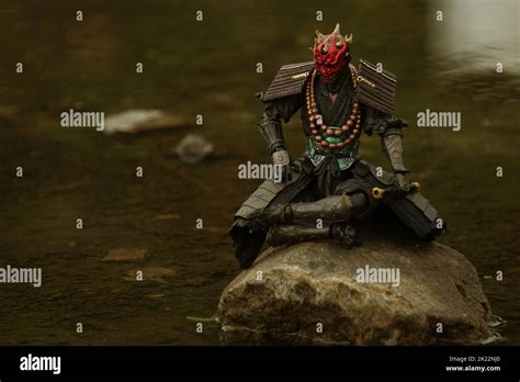 The Darth Maul figure on a stone Stock Photo - Alamy