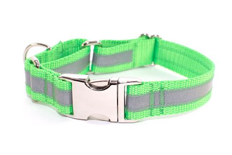 Quick Release Dog Collar | Reflective Martingale Dog Collar – Fox ...