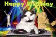 Birthday Cat GIFs | Tenor