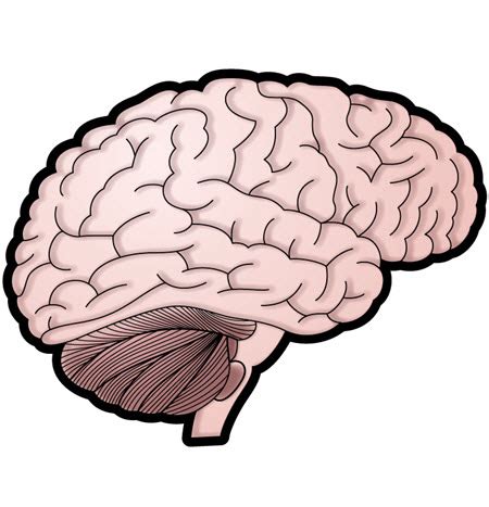 EMDR - Off the Couch Therapy