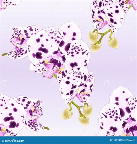 Seamless Texture Stem Orchids Flowers With Dots Purple And White