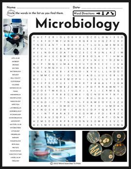 Microbiology Word Search Puzzle By Word Searches To Print TPT