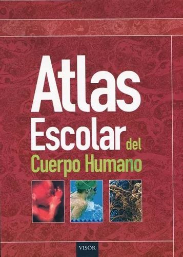 Atlas Escolar Del Cuerpo Humano de AA VV Editorial Visor en español