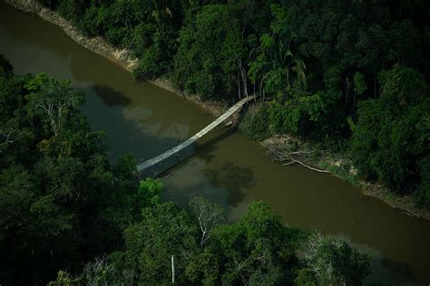 Carne e soja pressionam a Terra Indígena Karipuna Campanha Permanente