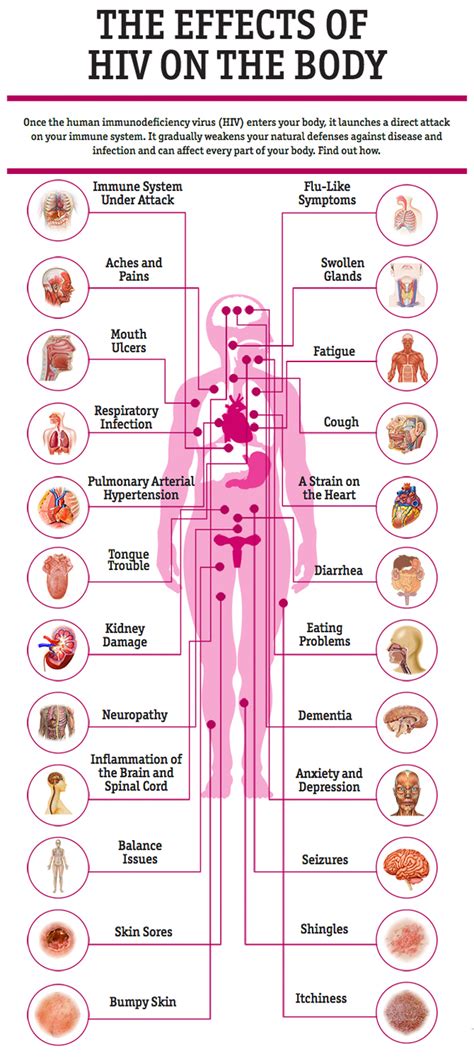 Diagram Diagram Of Effects Of Hiv Aids Mydiagram Online