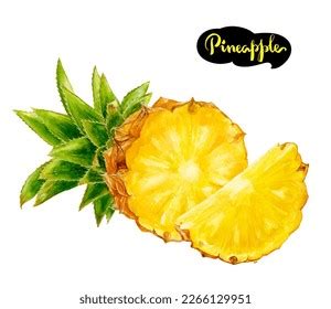 Pineapple Watercolor Hand Draw Illustration Isolated Stock Illustration