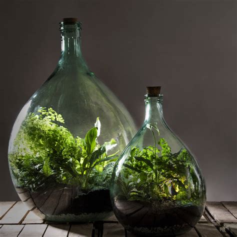 35 Litre Green Glass Terrarium With Terrarium Charcoal By Hunter ...