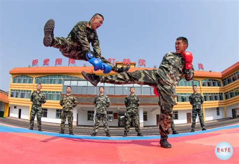 一招制敌！看武警官兵搏击对抗训练腾讯新闻