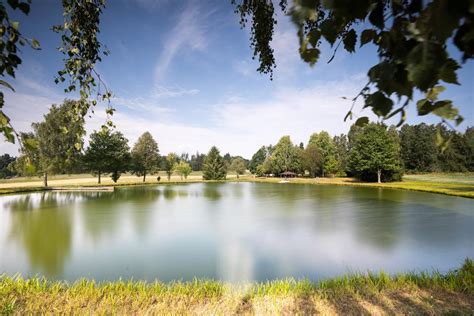 Naturbadeweiher In Konnersreuth Wallenstein Radwanderweg