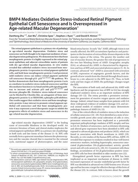 Pdf Bmp Mediates Oxidative Stress Induced Retinal Pigment Epithelial