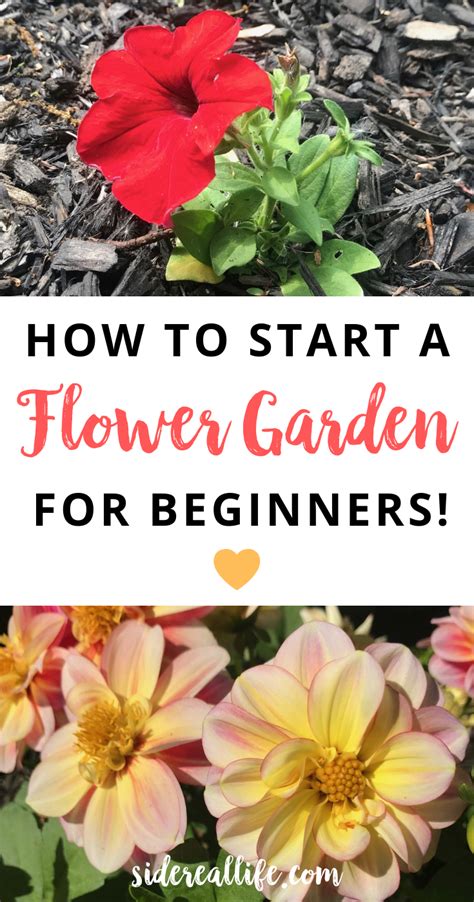 How To Start A Flower Garden For Beginners A Step By Step Guide