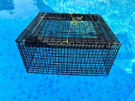 Bait Pen Live Bait Pen Floating Reel Texas Outdoors