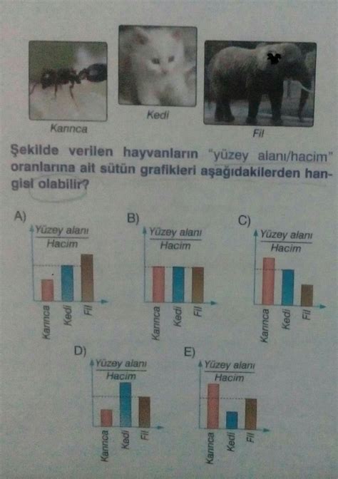 Sinif Fizik Soruma Bakarmisiniz A Iklamali Eodev