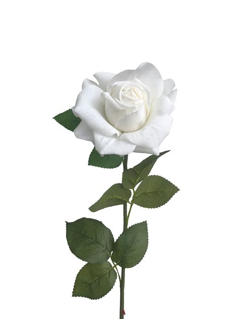 Artificial Real Touch Rose White Wild Blooms