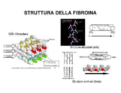 Silk – Fibroin and Sericin - Cosetex