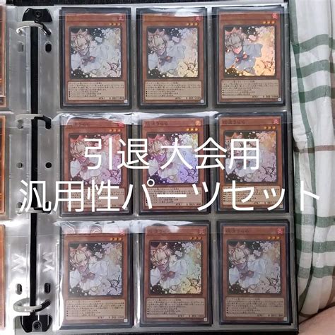 49％割引【時間指定不可】 遊戯王 引退品 環境汎用カード 遊戯王 トレーディングカード Otaonarenanejp