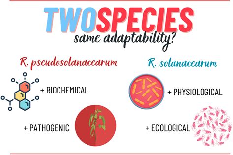 Exploring the competitive potential of Ralstonia pseudosolanacearum and ... 