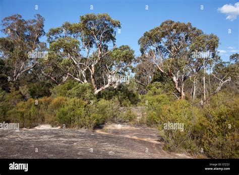 Girraween National Park Granite Belt Queensland Australia Stock