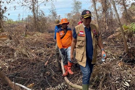 Pekanbaru Dan Bengkalis Tetapkan Status Siaga Darurat Karhutla Antara