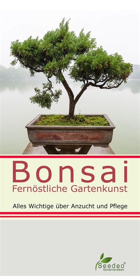 Seedeo Bonsai Anzuchtset Deluxe Best Of AN 10070