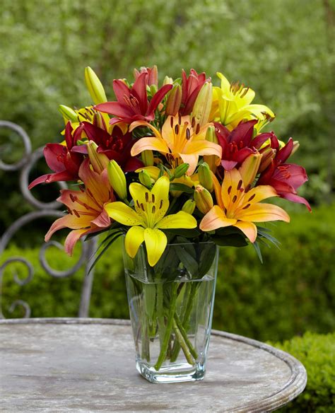 Tips For Growing Better Lilies Longfield Gardens