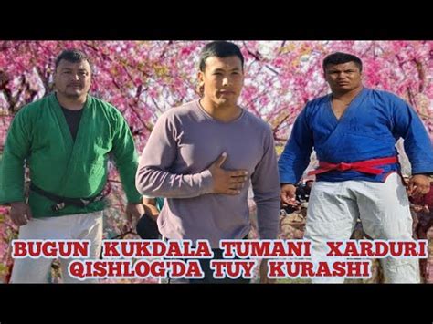 BUGUN KUKDALA TUMANI XARDURI QISHLOG IDA KATTA KURASH BULIB UTDI YouTube