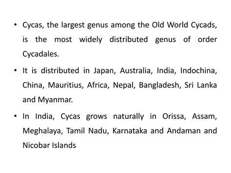 SOLUTION Cycas Morphology Anatomy Reproduction Studypool