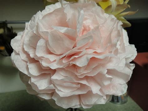 Coffee Filter Peony Coffee Filter Flowers Diy Paper Roses Fabric