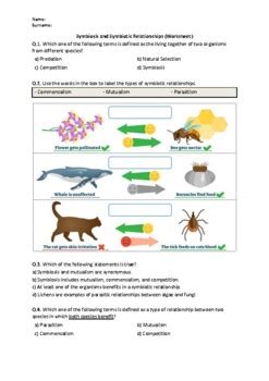 Symbiosis Symbiotic Relationships Quiz Easel Activity Printable PDF