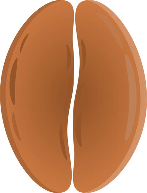 Coffee Bean Illustration 19881152 Png