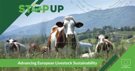 Introducing Eu Project Step Up Improving The Sustainability Of